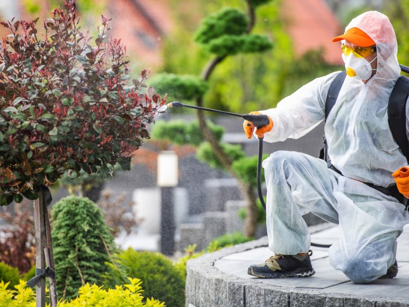 Kocaköy Haşere İlaçlama